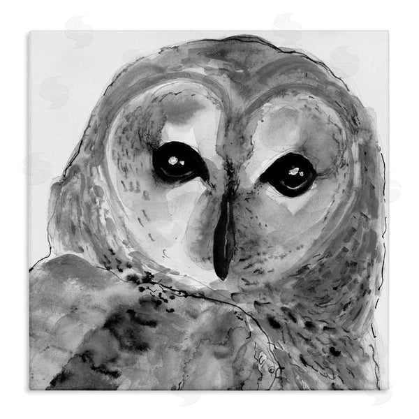 stupell industries Patti Mann | Close Up Barn Owl Bird Gazing Ink Watercolor Wall Art