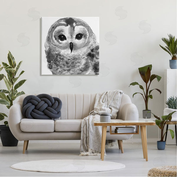 Stupell Industries Patti Mann | Tranquil Barn Owl Bird Face Portrait Painting Wall Art