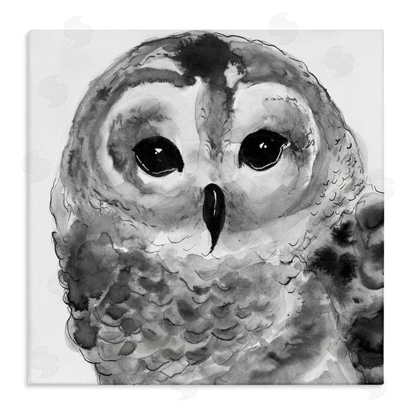stupell industries Patti Mann | Tranquil Barn Owl Bird Face Portrait Painting Wall Art