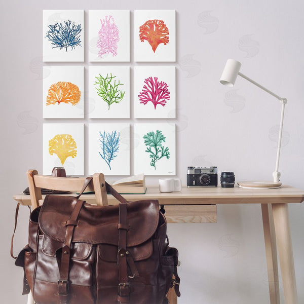 Stupell Industries Patty Rybolt | Vibrant Various Coral Ocean Life Wall Art