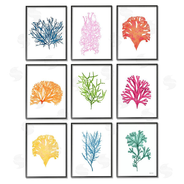 Stupell Industries Patty Rybolt | Vibrant Various Coral Ocean Life Wall Art