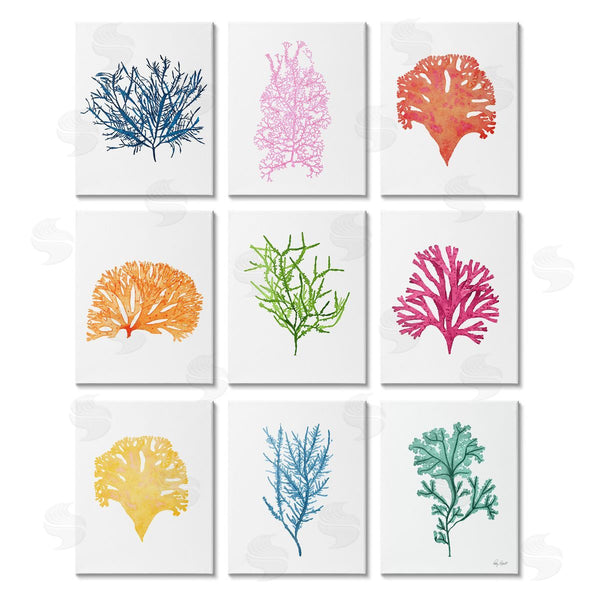 stupell industries Patty Rybolt | Vibrant Various Coral Ocean Life Wall Art