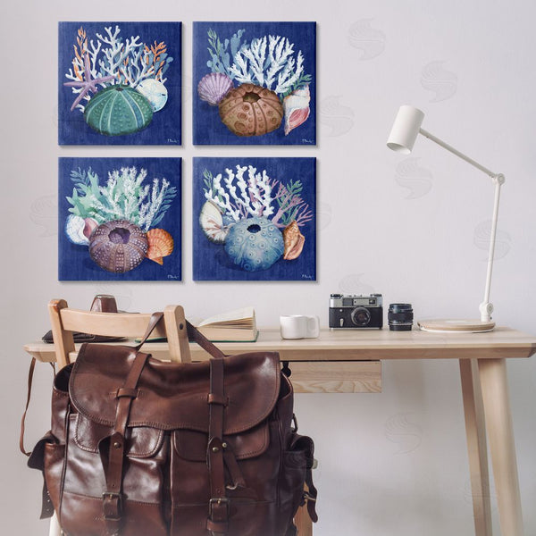 Stupell Industries Paul Brent | Aquatic Shells Still Life Wall Art