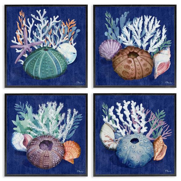 Stupell Industries Paul Brent | Aquatic Shells Still Life Wall Art