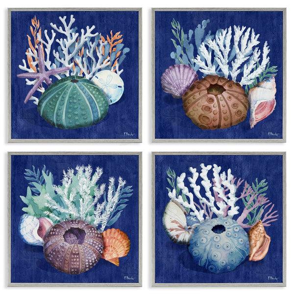 Stupell Industries Paul Brent | Aquatic Shells Still Life Wall Art