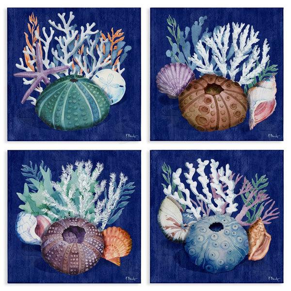 stupell industries Paul Brent | Aquatic Shells Still Life Wall Art