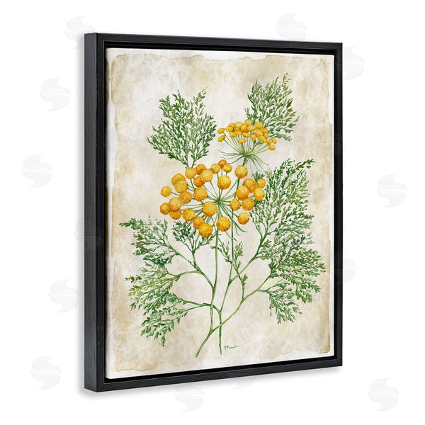 Stupell Industries Paul Brent | Botanical Journal Page