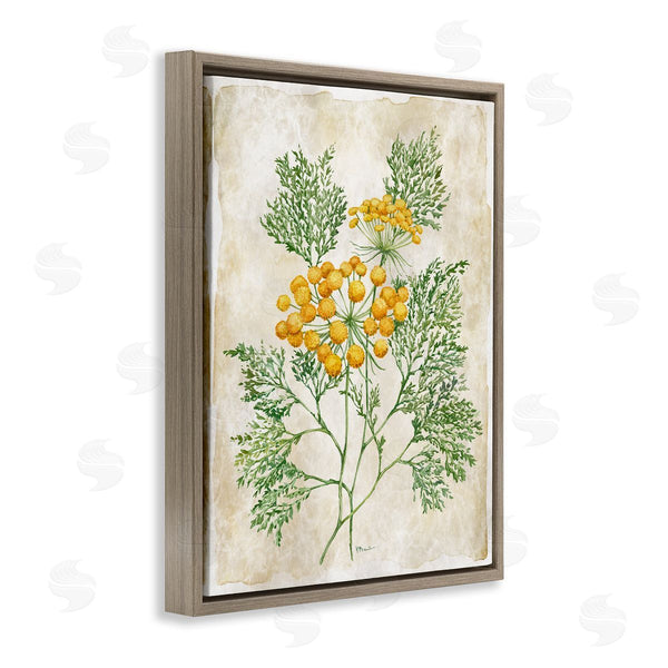 Stupell Industries Paul Brent | Botanical Journal Page
