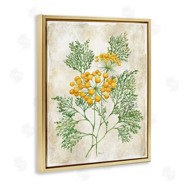 Stupell Industries Paul Brent | Botanical Journal Page