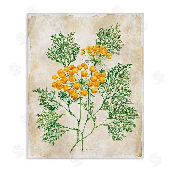 stupell industries Paul Brent | Botanical Journal Page