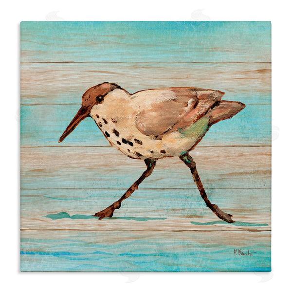 stupell industries Paul Brent | Coastal Teak Sandpiper