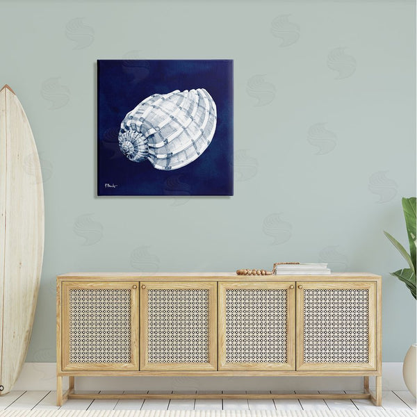 Stupell Industries Paul Brent | Cyanotype Shells Coastal Illustration Wall Art
