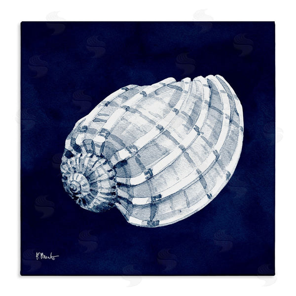 stupell industries Paul Brent | Cyanotype Shells Coastal Illustration Wall Art