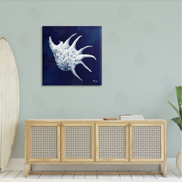 Stupell Industries Paul Brent | Cyanotype Shells Traditional Conch Wall Art