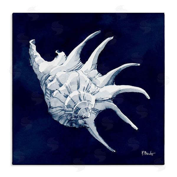 stupell industries Paul Brent | Cyanotype Shells Traditional Conch Wall Art