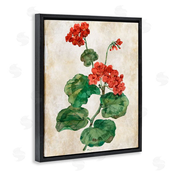 Stupell Industries Paul Brent | Floral Journal Flower Painting