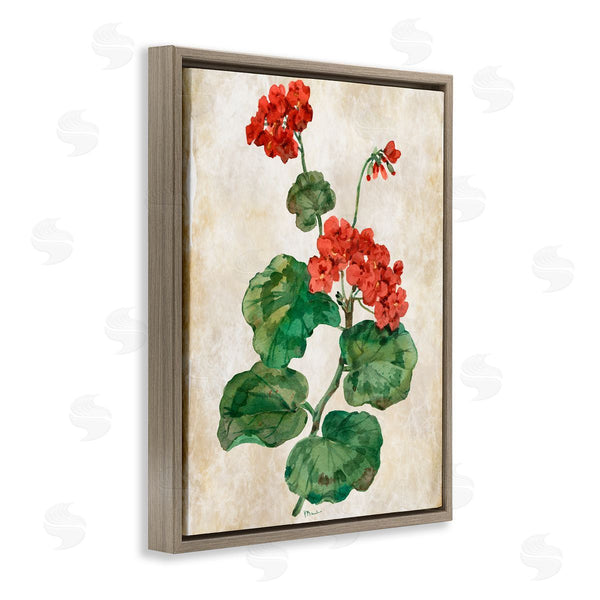Stupell Industries Paul Brent | Floral Journal Flower Painting
