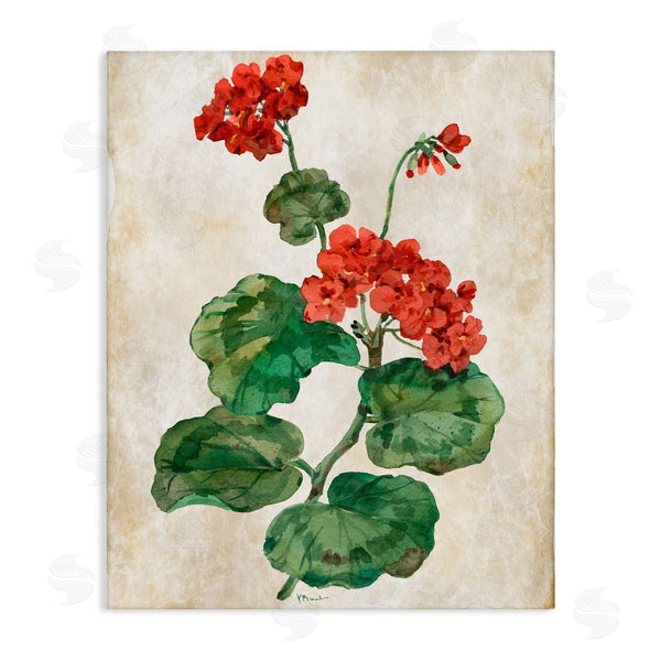 stupell industries Paul Brent | Floral Journal Flower Painting
