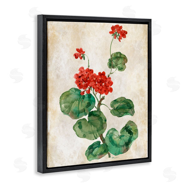 Stupell Industries Paul Brent | Floral Journal Red Flower