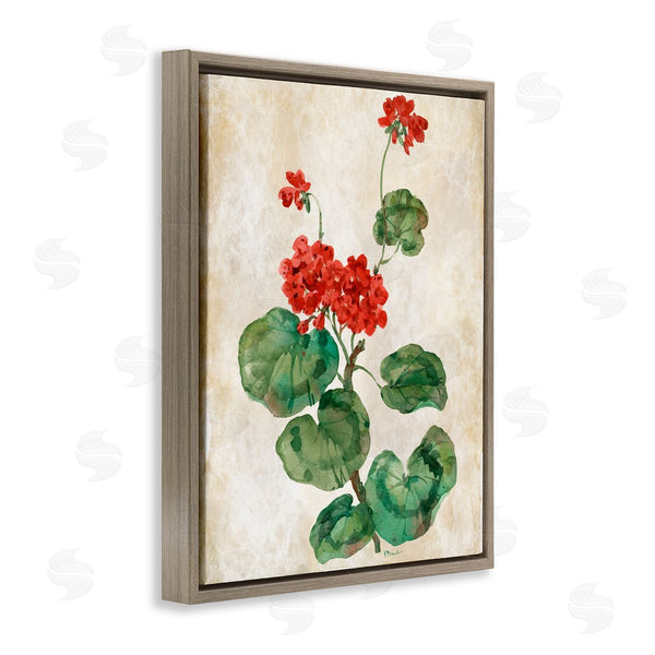 Stupell Industries Paul Brent | Floral Journal Red Flower
