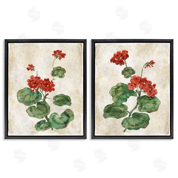 Stupell Industries Paul Brent | Floral Journal Red Flower Painting