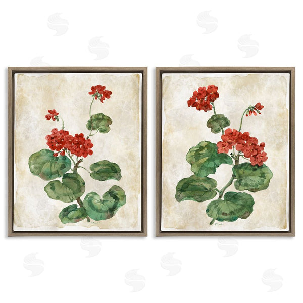 Stupell Industries Paul Brent | Floral Journal Red Flower Painting