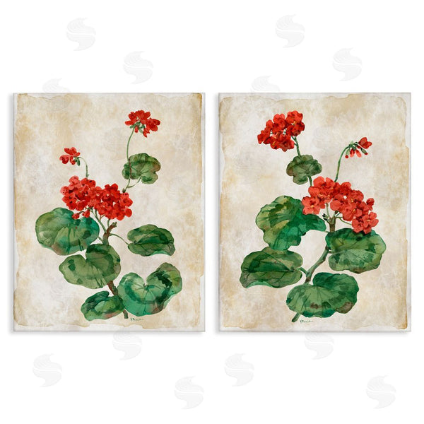 stupell industries Paul Brent | Floral Journal Red Flower Painting
