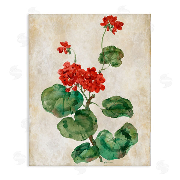 stupell industries Paul Brent | Floral Journal Red Flower