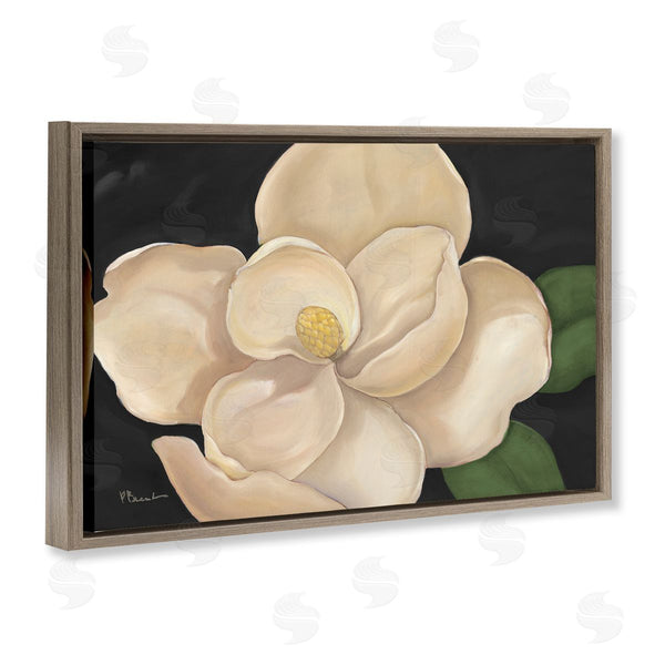 Stupell Industries Paul Brent | Magnolia Grandiflora On Black