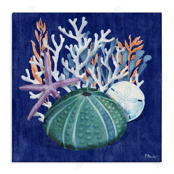 stupell industries Paul Brent | Monterey Urchin and Coral