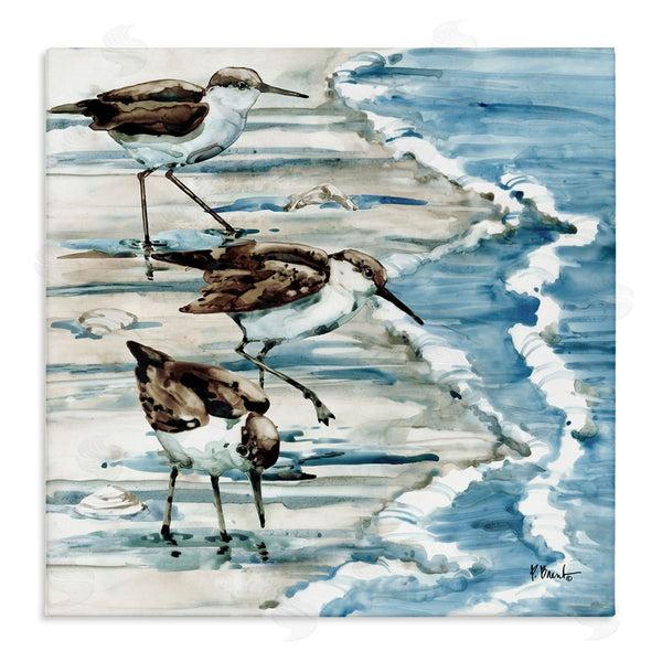 stupell industries Paul Brent | Rockhampton Sandpipers Beach Ripples