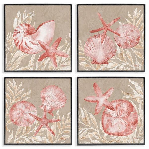 Stupell Industries Paul Brent | Tampico Shells In Peach Wall Art