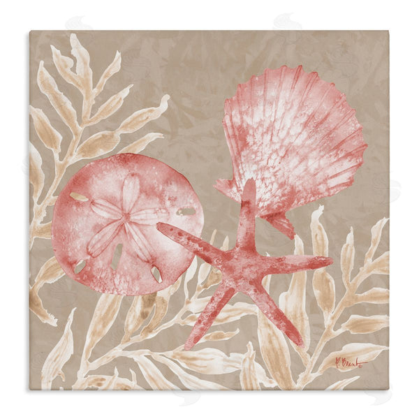 stupell industries Paul Brent | Tampico Shells & Sand Dollar