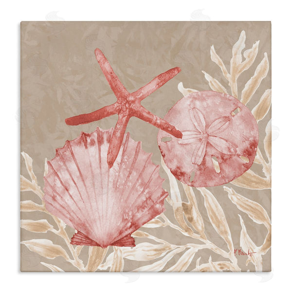 stupell industries Paul Brent | Tampico Shells & Starfish