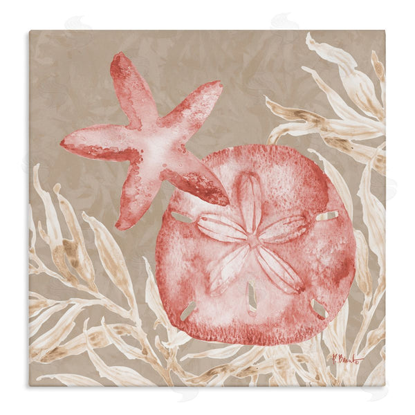 stupell industries Paul Brent | Tampico Starfish and Sand Dollar