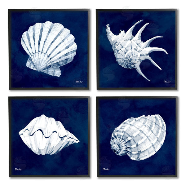 Stupell Industries Paul Brent | Traditional Cyanotype Shells Wall Art