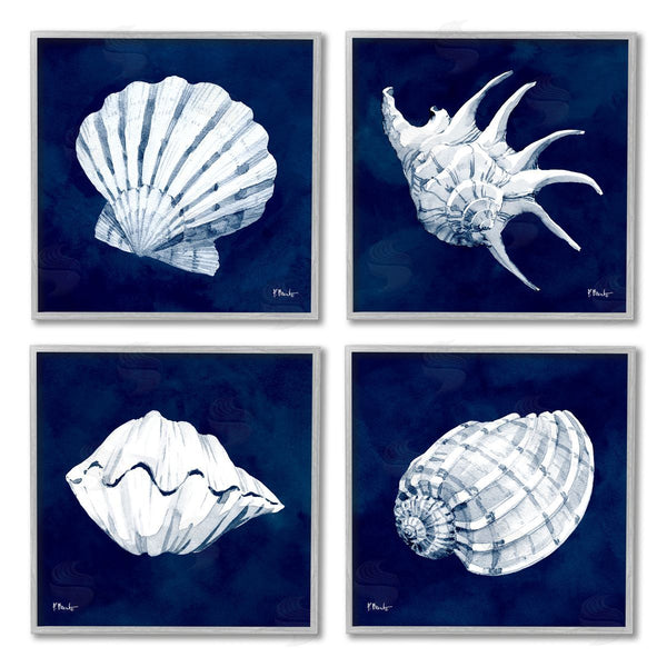 Stupell Industries Paul Brent | Traditional Cyanotype Shells Wall Art