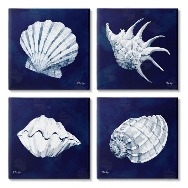 stupell industries Paul Brent | Traditional Cyanotype Shells Wall Art