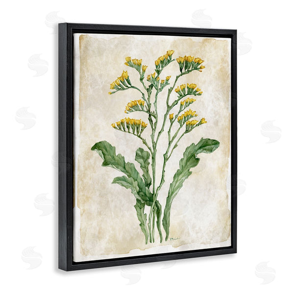 Stupell Industries Paul Brent | Vintage Floral Journal