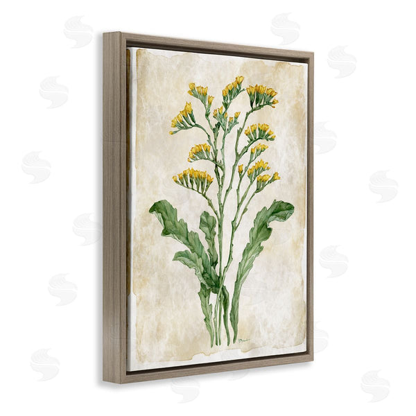 Stupell Industries Paul Brent | Vintage Floral Journal