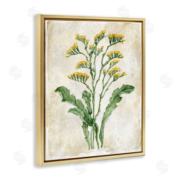 Stupell Industries Paul Brent | Vintage Floral Journal