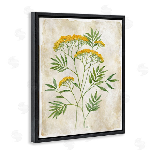 Stupell Industries Paul Brent | Vintage Flower Journal
