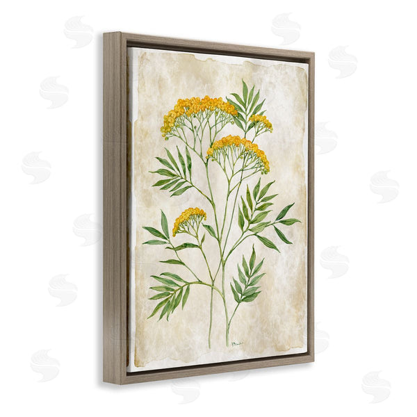 Stupell Industries Paul Brent | Vintage Flower Journal