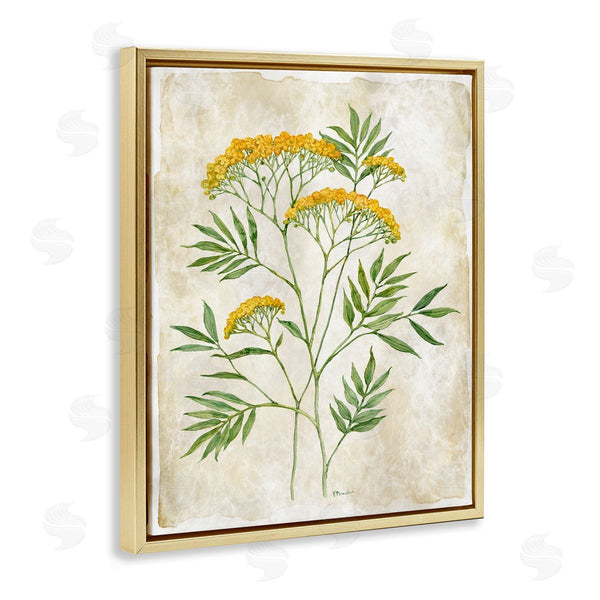 Stupell Industries Paul Brent | Vintage Flower Journal