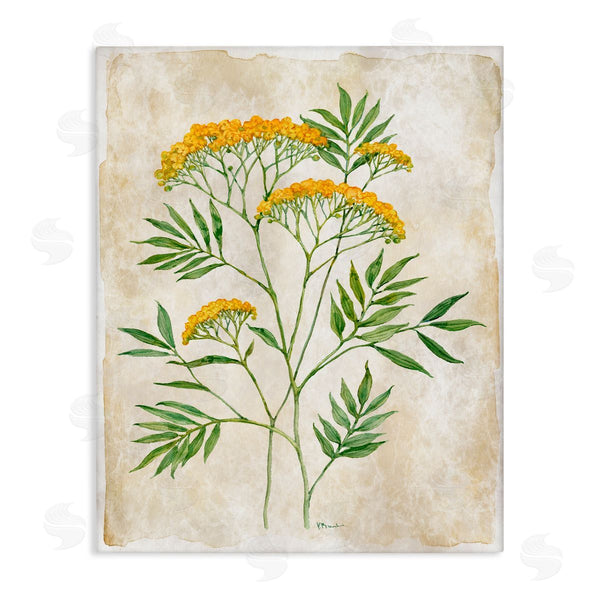 stupell industries Paul Brent | Vintage Flower Journal