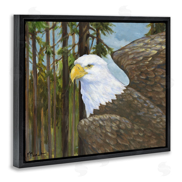 Stupell Industries Paul Brent | Woodland Eagle's View