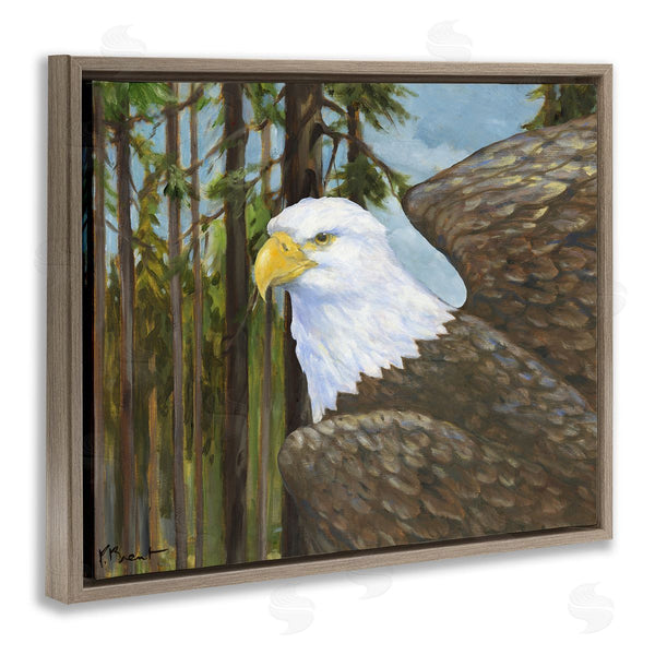 Stupell Industries Paul Brent | Woodland Eagle's View