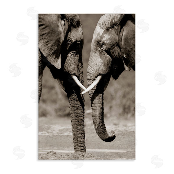 stupell industries Paul Souders | Heartwarming Elephant Pair