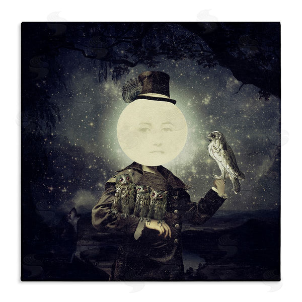 stupell industries Paula Belle Flores | Starry Night Sky Moon Person Bird Botanical Border Wall Art