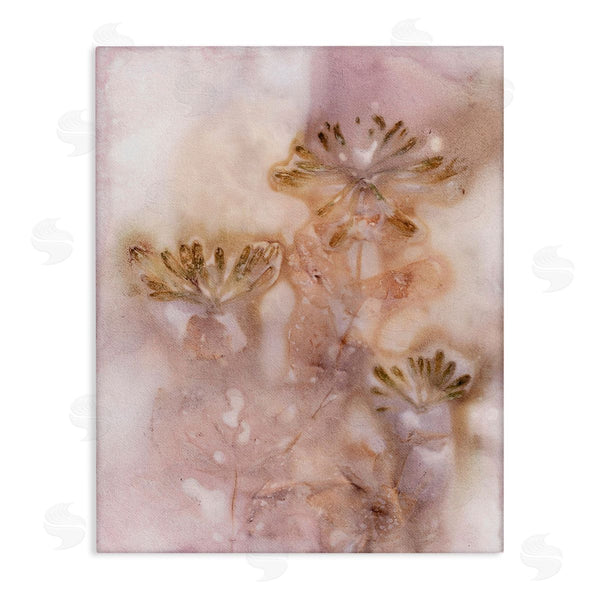 stupell industries Pernille Folcarelli | Abstract Botanical Seeds Wall Art